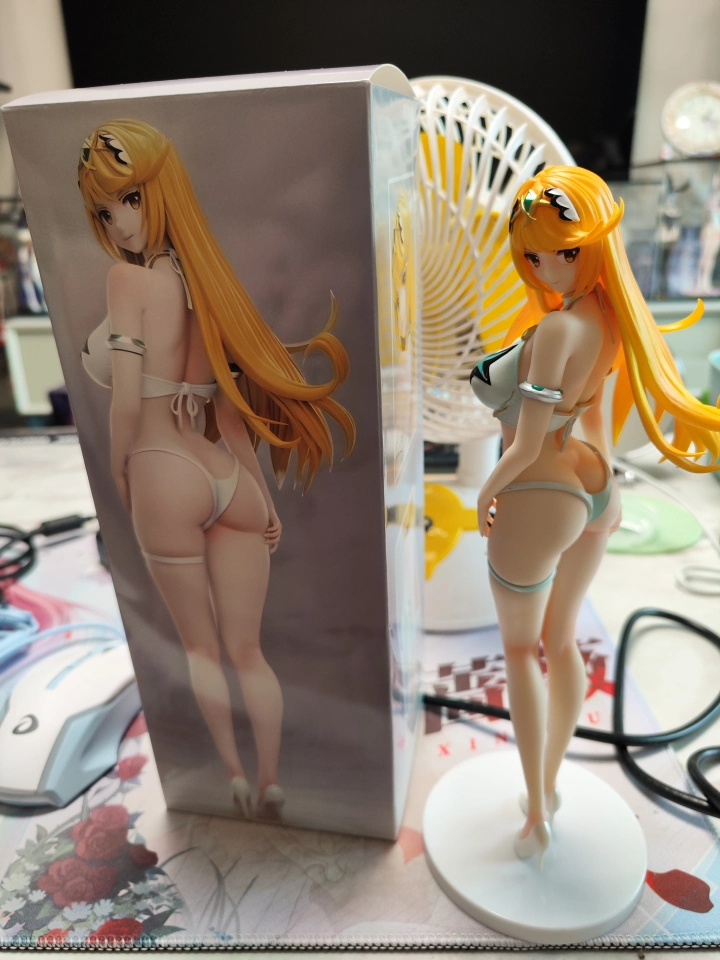 Anime Figure Xenoblade Chronic - огляд і ціна Model Kit Xenoblade