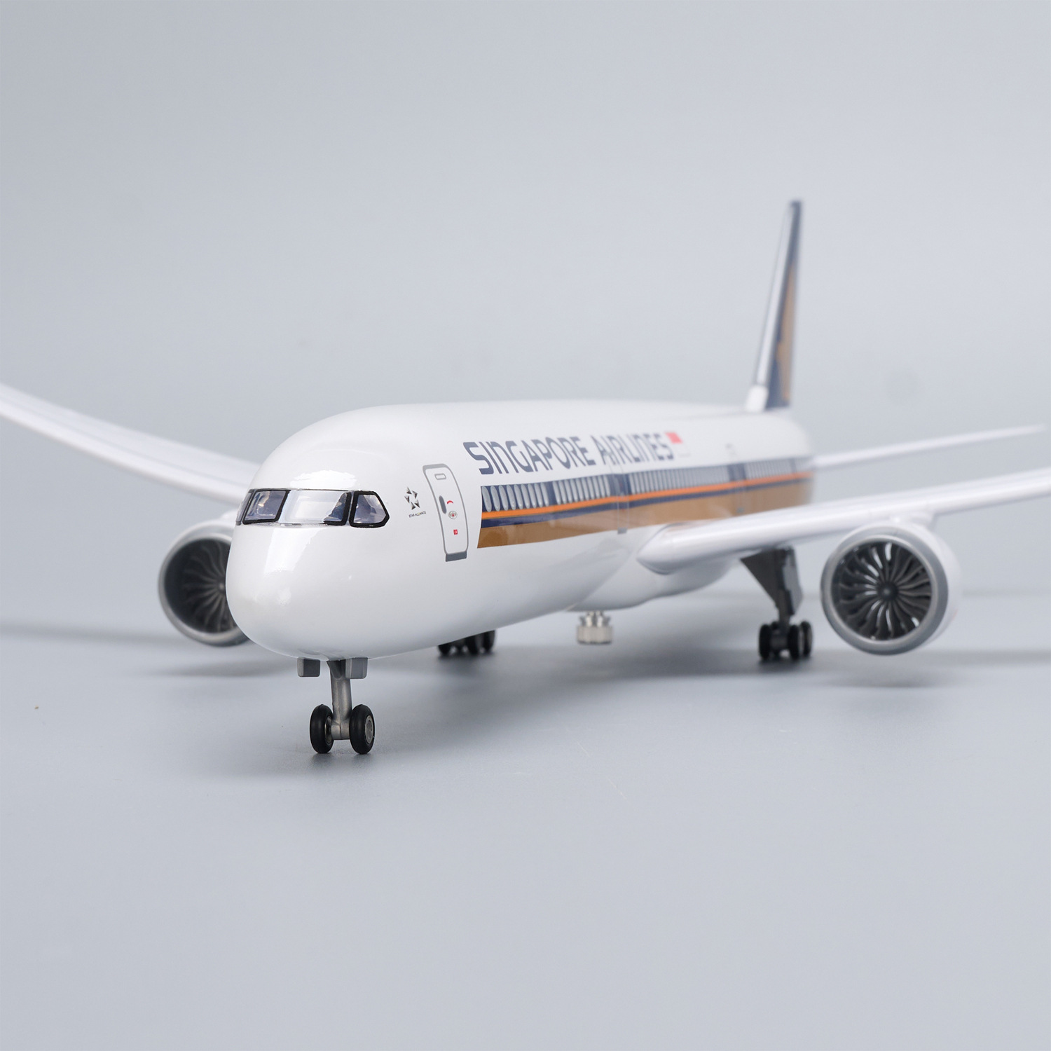 47cm Large Scale Singapore Air - огляд і ціна Model Kit Singapore