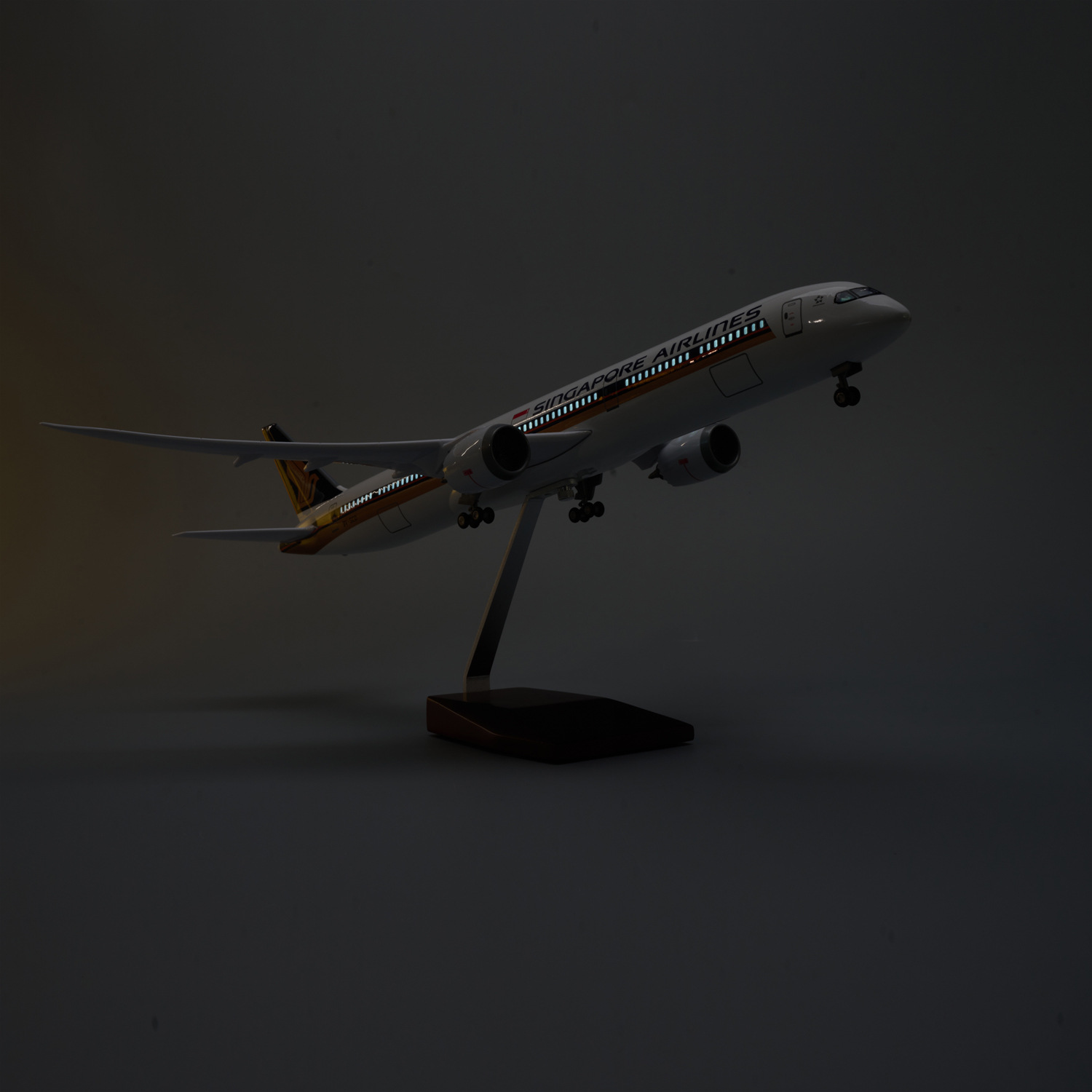 47cm Large Scale Singapore Air - огляд і ціна Model Kit Singapore